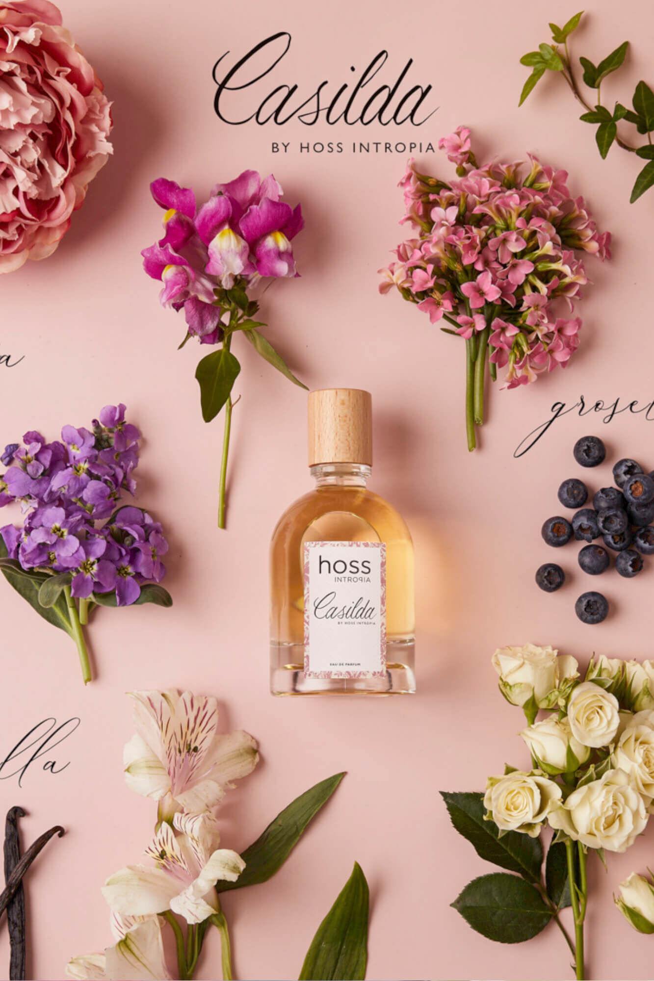 Hoss Intropia Casilda. Fragr&acirc;ncia Hoss Intropia 100ml